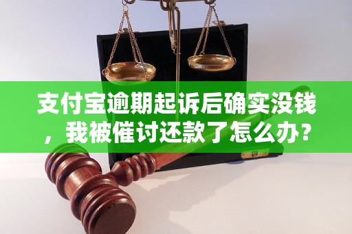 支付宝逾期起诉后确实没钱，我被催讨还款了怎么办？