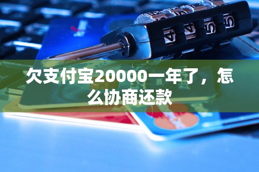 欠支付宝20000一年了，怎么协商还款