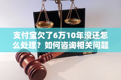 支付宝欠了6万10年没还怎么处理？如何咨询相关问题？