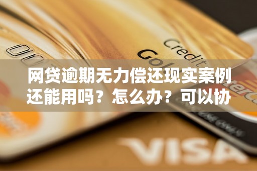 网贷逾期无力偿还现实案例还能用吗？怎么办？可以协商还本金吗？