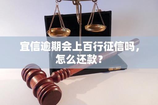 宜信逾期会上百行征信吗，怎么还款？