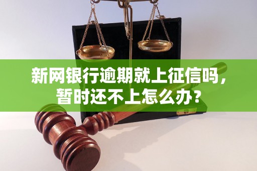 新网银行逾期就上征信吗，暂时还不上怎么办？