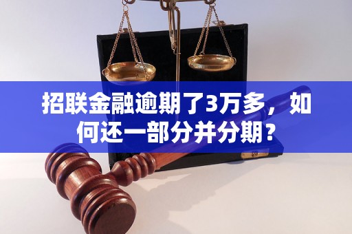 招联金融逾期了3万多，如何还一部分并分期？