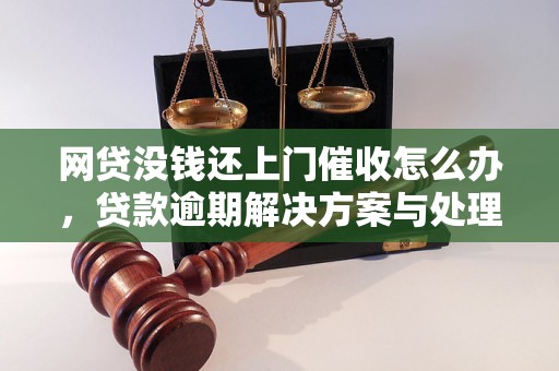 网贷没钱还上门催收怎么办，贷款逾期解决方案与处理策略