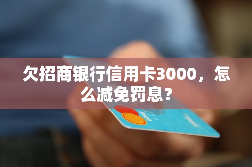 欠招商银行信用卡3000，怎么减免罚息？