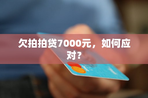 欠拍拍贷7000元，如何应对？