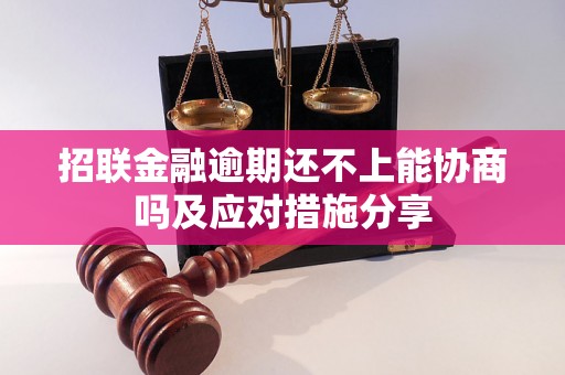 招联金融逾期还不上能协商吗及应对措施分享