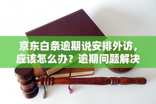 京东白条逾期说安排外访，应该怎么办？逾期问题解决办法