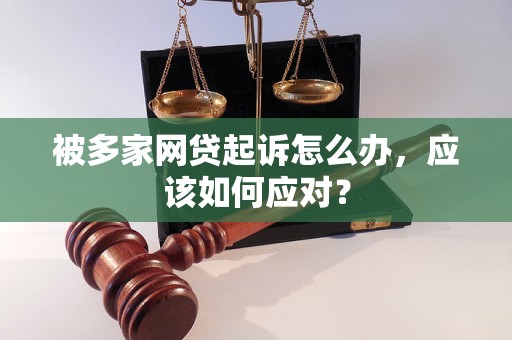 被多家网贷起诉怎么办，应该如何应对？