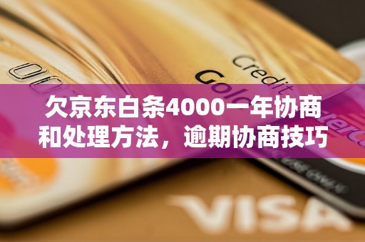 欠京东白条4000一年协商和处理方法，逾期协商技巧分享