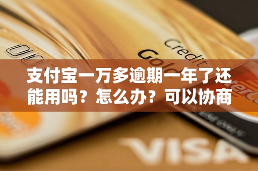 支付宝一万多逾期一年了还能用吗？怎么办？可以协商还本金吗？