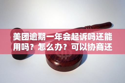 美团逾期一年会起诉吗还能用吗？怎么办？可以协商还本金吗？