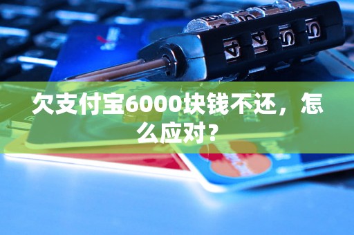 欠支付宝6000块钱不还，怎么应对？