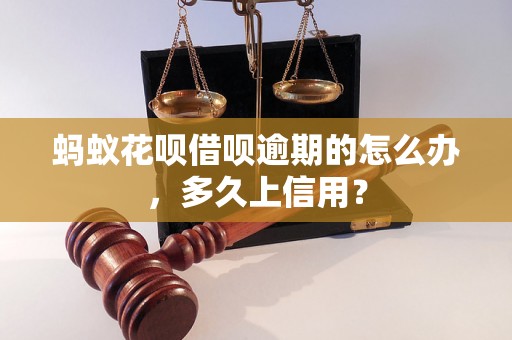 蚂蚁花呗借呗逾期的怎么办，多久上信用？