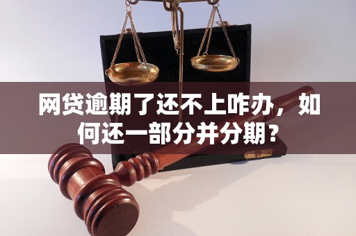 网贷逾期了还不上咋办，如何还一部分并分期？