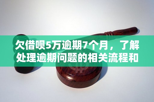 欠借呗5万逾期7个月，了解处理逾期问题的相关流程和方法