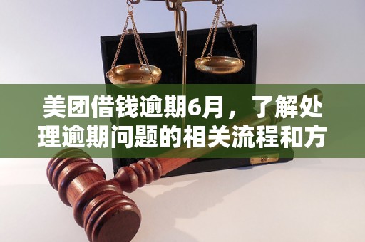 美团借钱逾期6月，了解处理逾期问题的相关流程和方法