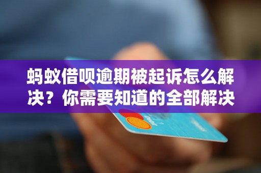 蚂蚁借呗逾期被起诉怎么解决？你需要知道的全部解决方法