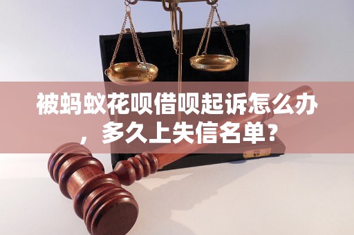 被蚂蚁花呗借呗起诉怎么办，多久上失信名单？