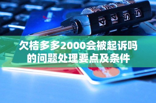 欠桔多多2000会被起诉吗的问题处理要点及条件