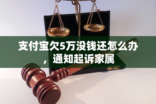 支付宝欠5万没钱还怎么办，通知起诉家属