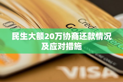 民生大额20万协商还款情况及应对措施