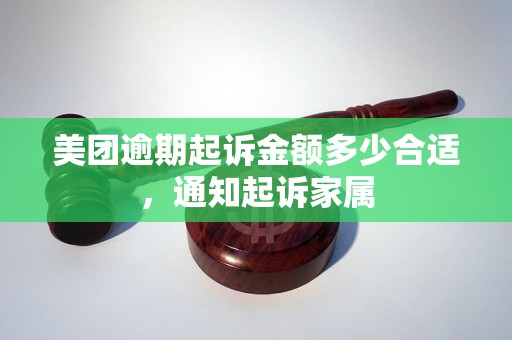 美团逾期起诉金额多少合适，通知起诉家属