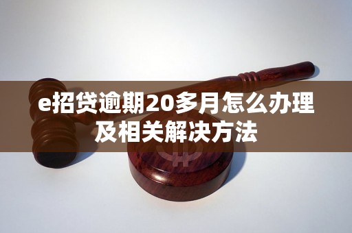 e招贷逾期20多月怎么办理及相关解决方法