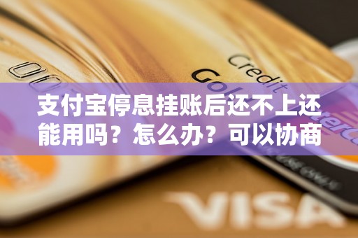 支付宝停息挂账后还不上还能用吗？怎么办？可以协商还本金吗？