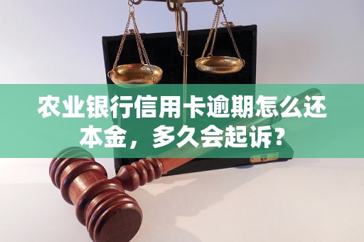 农业银行信用卡逾期怎么还本金，多久会起诉？