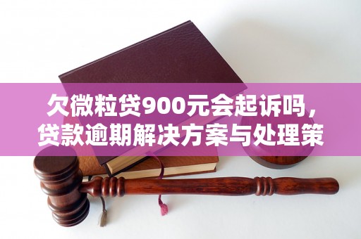 欠微粒贷900元会起诉吗，贷款逾期解决方案与处理策略