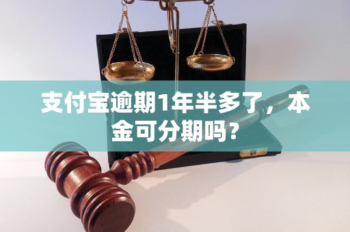 支付宝逾期1年半多了，本金可分期吗？