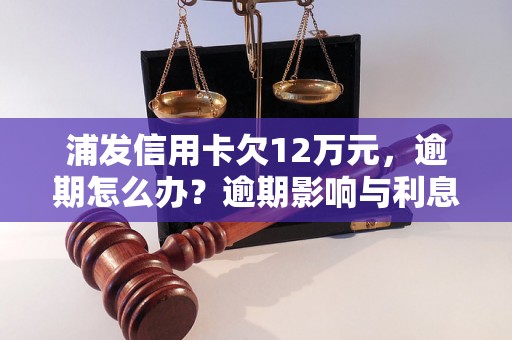 浦发信用卡欠12万元，逾期怎么办？逾期影响与利息了解！