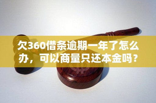 欠360借条逾期一年了怎么办，可以商量只还本金吗？