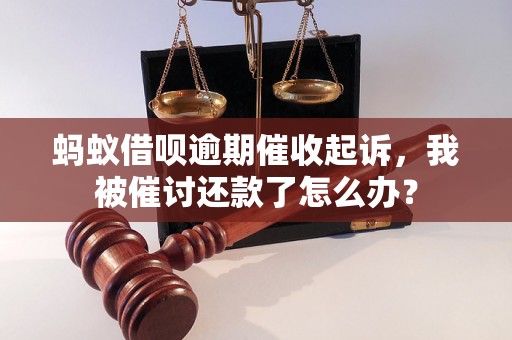 蚂蚁借呗逾期催收起诉，我被催讨还款了怎么办？