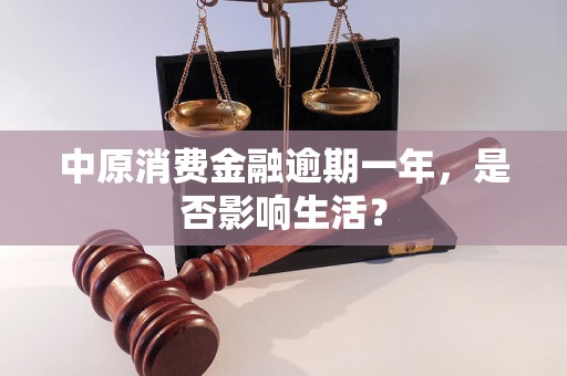 中原消费金融逾期一年，是否影响生活？