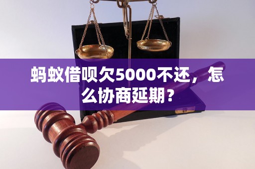 蚂蚁借呗欠5000不还，怎么协商延期？