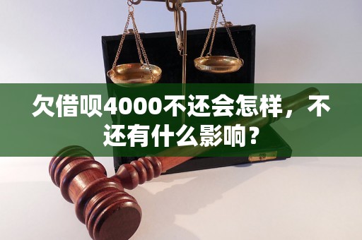 欠借呗4000不还会怎样，不还有什么影响？