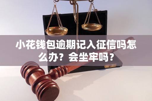 小花钱包逾期记入征信吗怎么办？会坐牢吗？