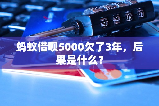 蚂蚁借呗5000欠了3年，后果是什么？