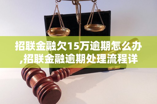 招联金融欠15万逾期怎么办,招联金融逾期处理流程详解