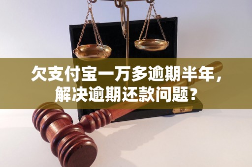 欠支付宝一万多逾期半年，解决逾期还款问题？