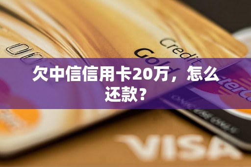 欠中信信用卡20万，怎么还款？