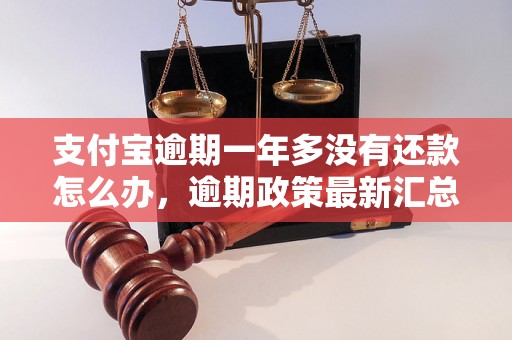 支付宝逾期一年多没有还款怎么办，逾期政策最新汇总