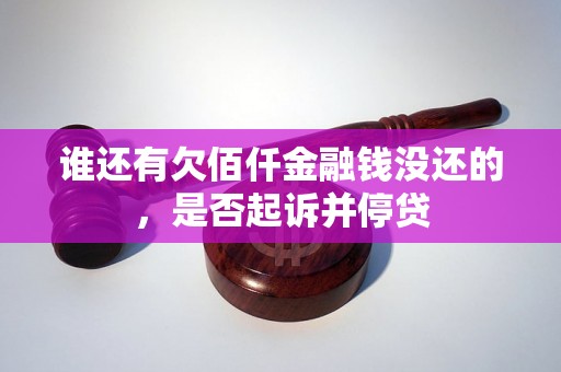 谁还有欠佰仟金融钱没还的，是否起诉并停贷