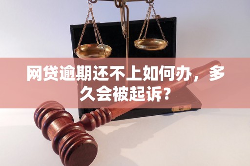 网贷逾期还不上如何办，多久会被起诉？