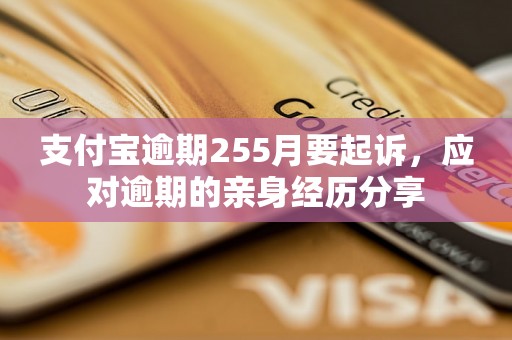 支付宝逾期255月要起诉，应对逾期的亲身经历分享