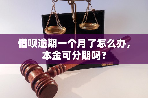 借呗逾期一个月了怎么办，本金可分期吗？