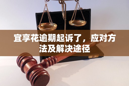 宜享花逾期起诉了，应对方法及解决途径