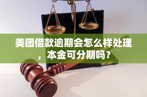 美团借款逾期会怎么样处理，本金可分期吗？